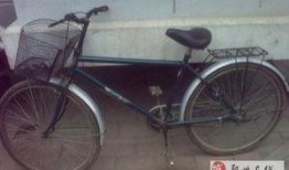 郑州自行车爆料视频最新,揭秘城市交通新现象